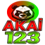 AKAI123