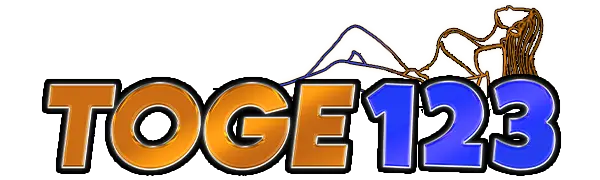 TOGE123