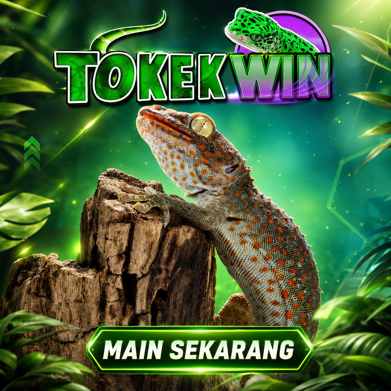 Popup Banner